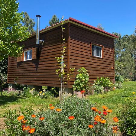 Casa Carini Villa Sertã Eksteriør billede