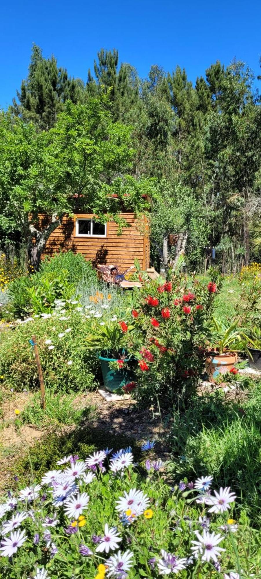 Casa Carini Villa Sertã Eksteriør billede
