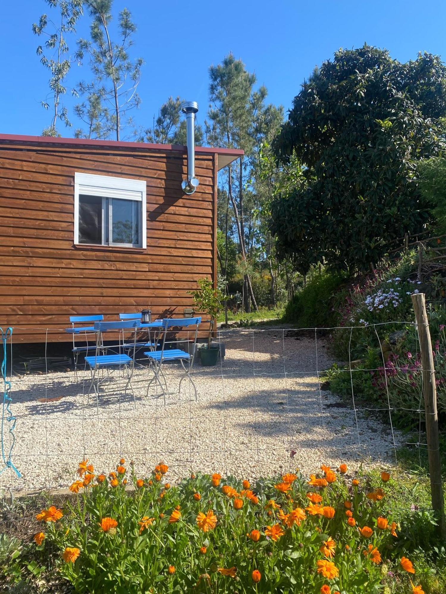 Casa Carini Villa Sertã Eksteriør billede
